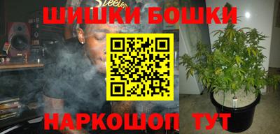 ALPHA PVP Гатчина